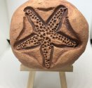 Starfish-Conch Shell
